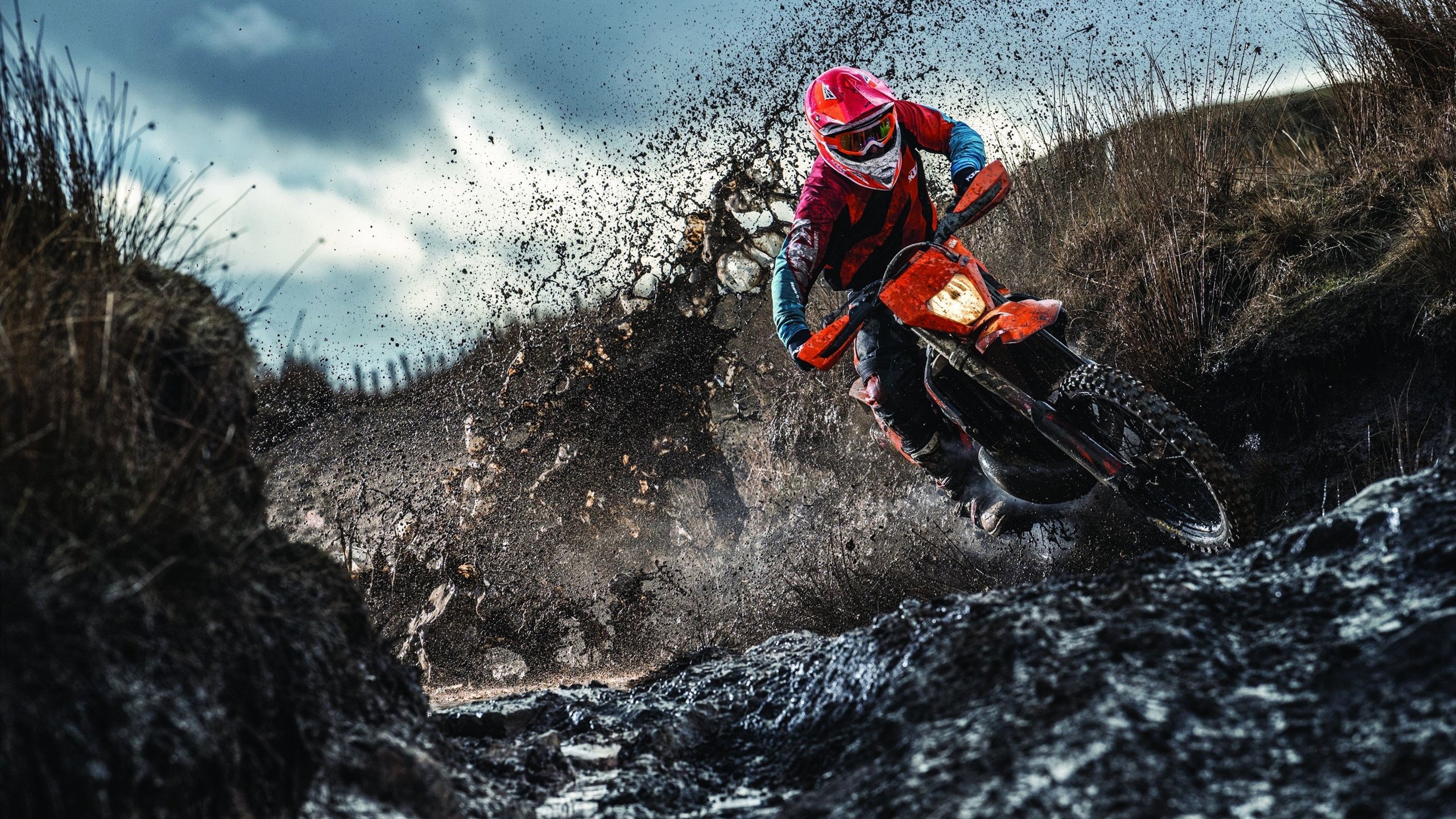 Doinb重返赛场，锐不可当首场状态出色，雄鹿观众沸腾！赛场气氛高涨